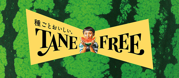 TANE FREE