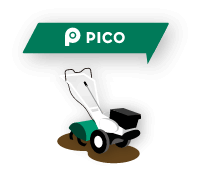 PICO